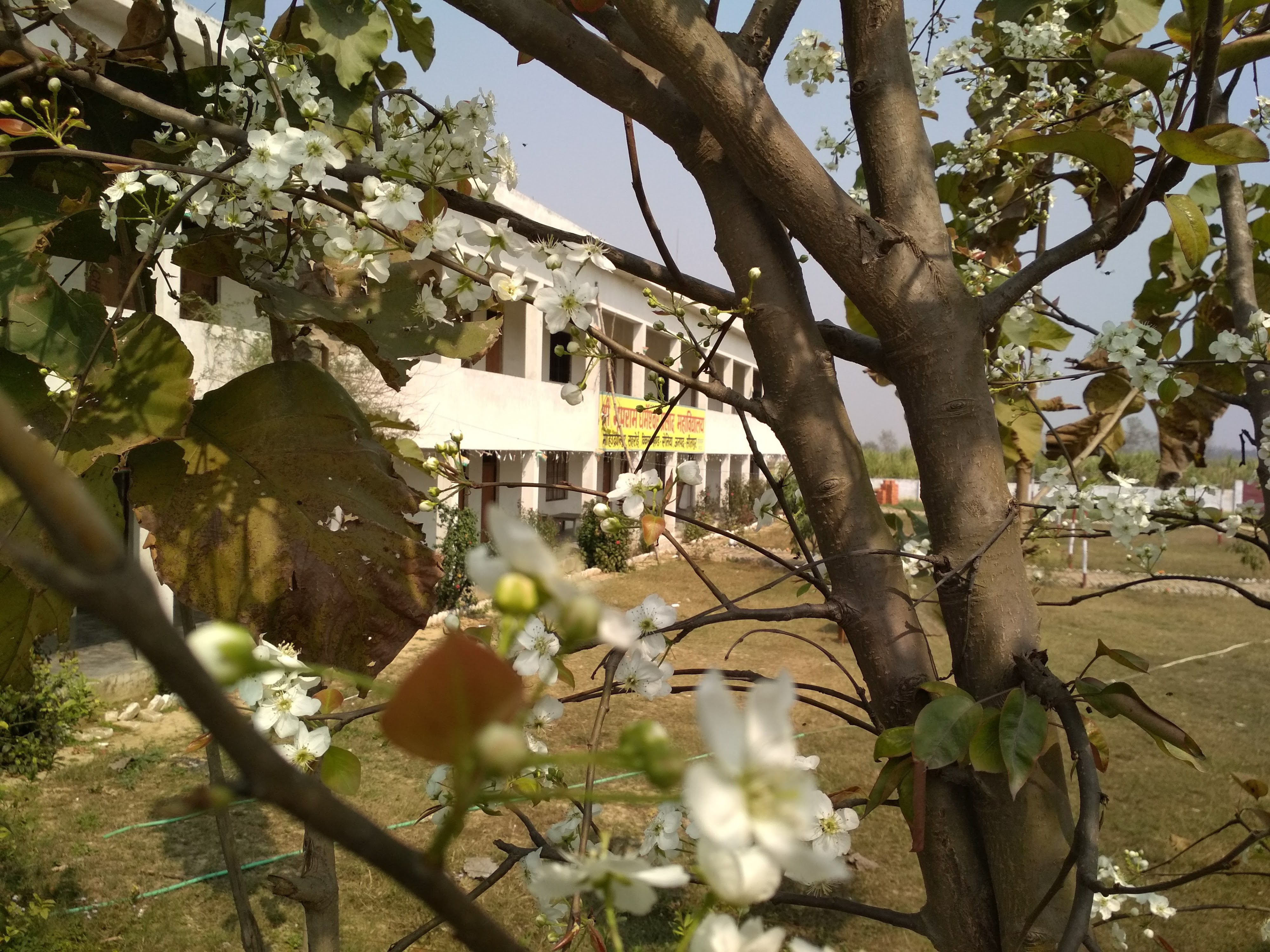 Campus Environment